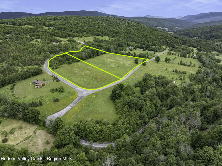 Property Photo: L26 Deer NY 12452