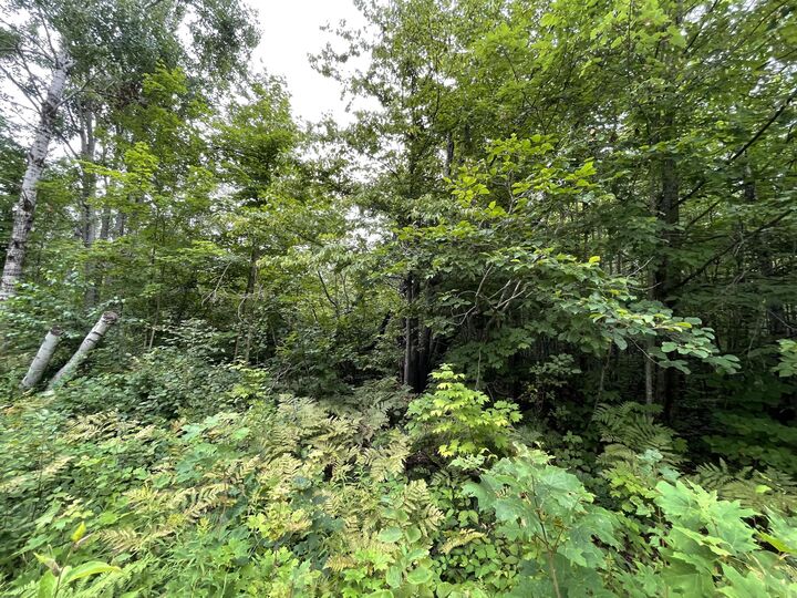 Property Photo:  Lot 95 &Amp96 Snowridge Drive  MI 49730 