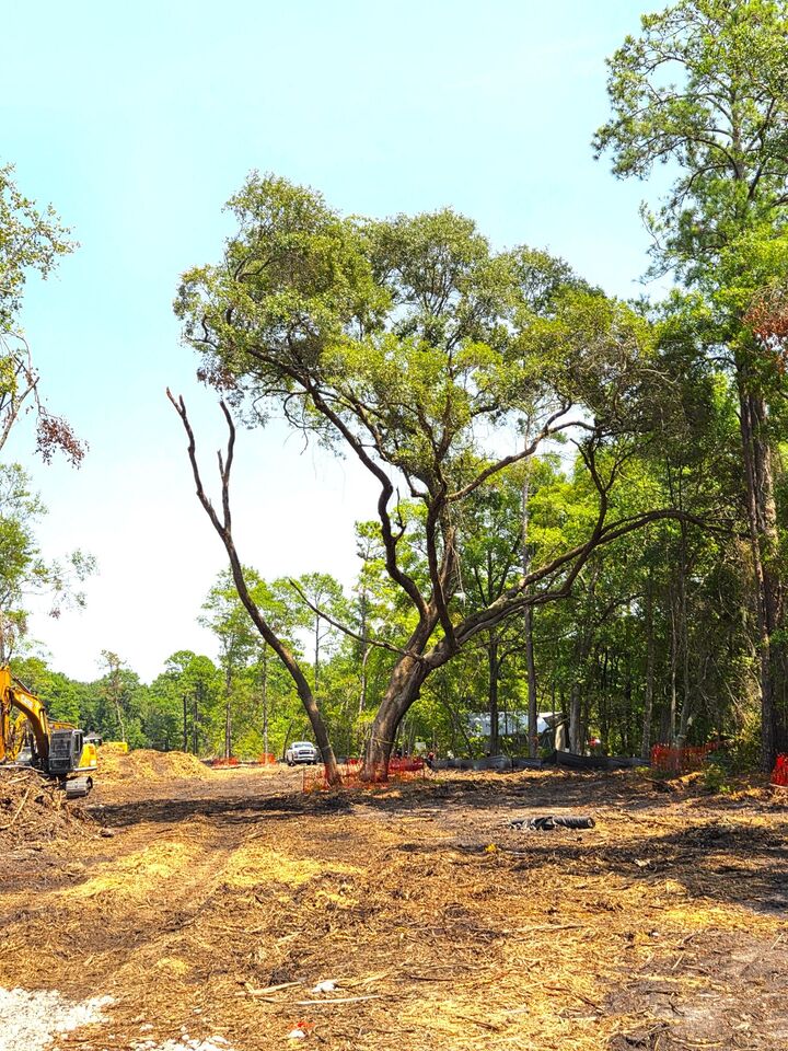 Property Photo: 885 Martin Luther King Road SC 29585
