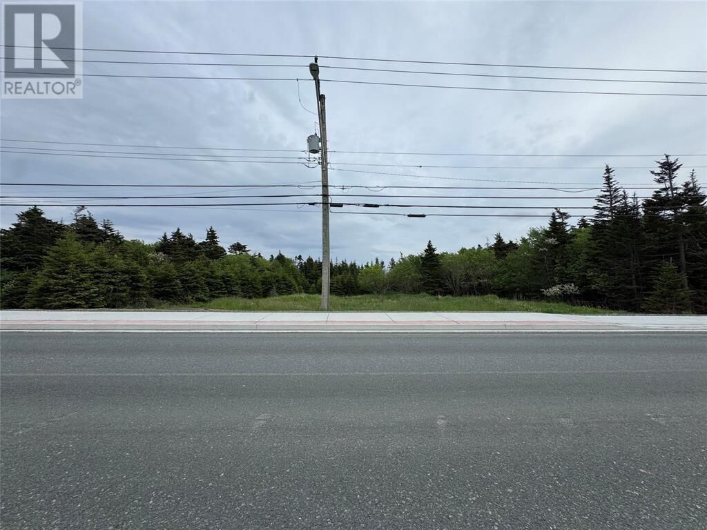 Property Photo:  123 Majors Path  NL A1A 4Z9 
