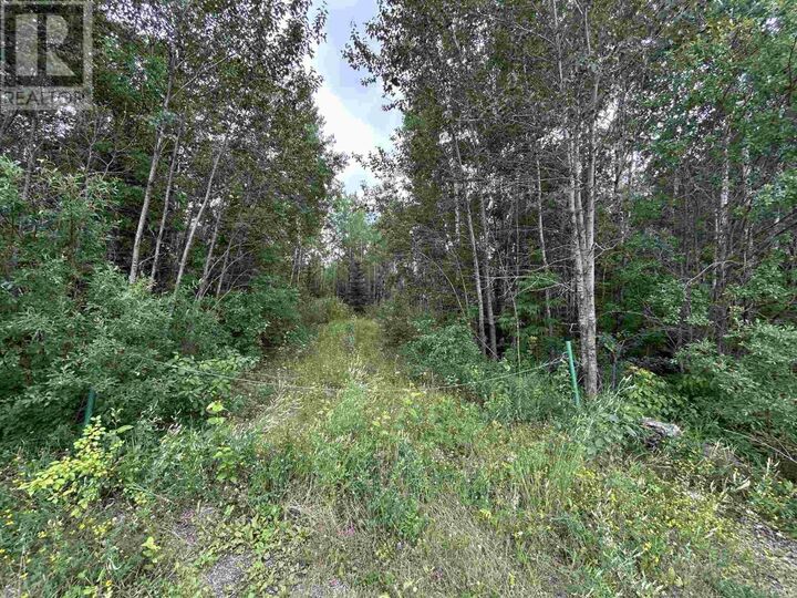 905 Frog Creek Rd — photo 1