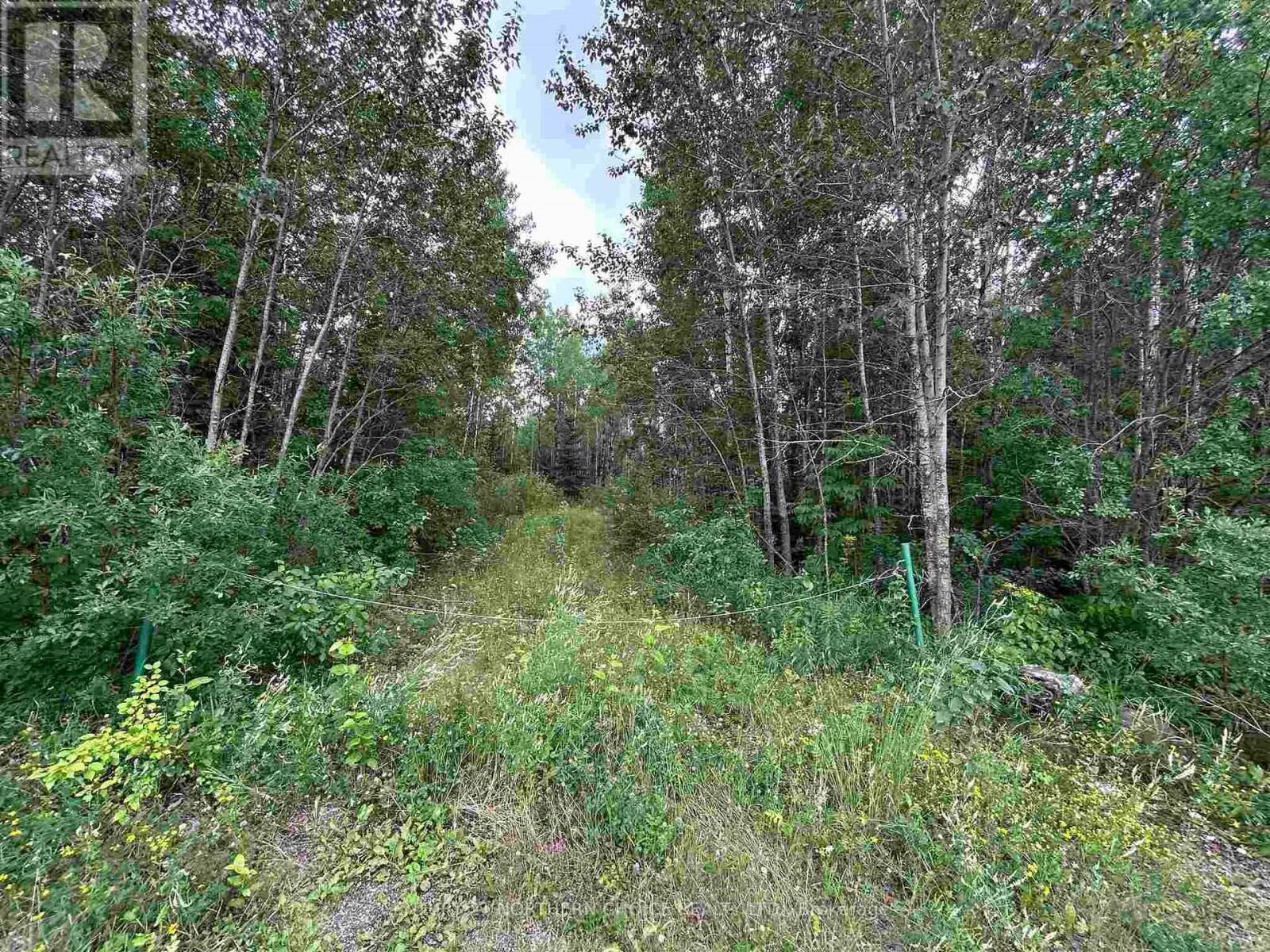 Property Photo: 905 Frog Creek Road ON P9A 3M2