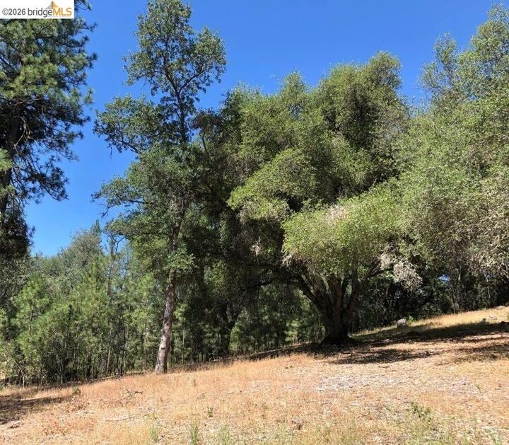 Property Photo: 21930 Lyons Bald Mountain CA 95370