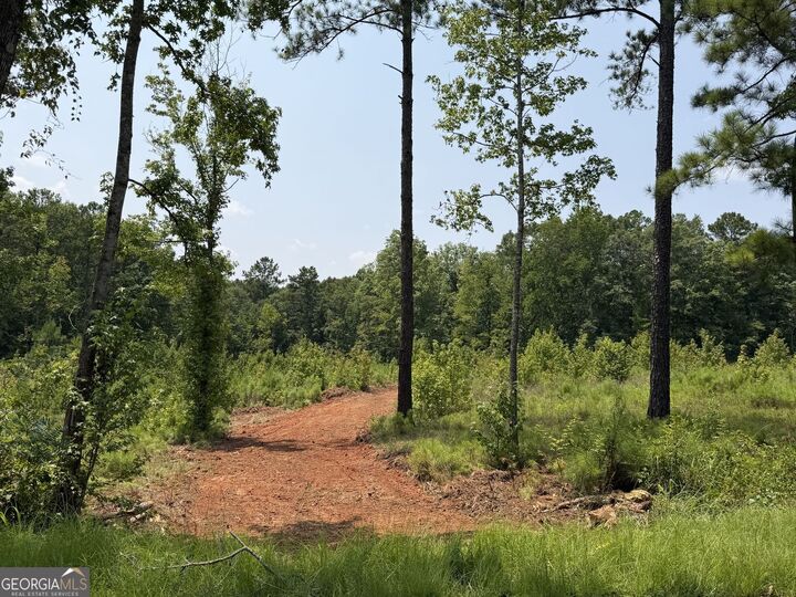 Property Photo: 710 Giles Road GA 31029