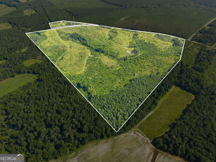 Property Photo:  3605 Perkins Hiltonia Road  GA 30442 