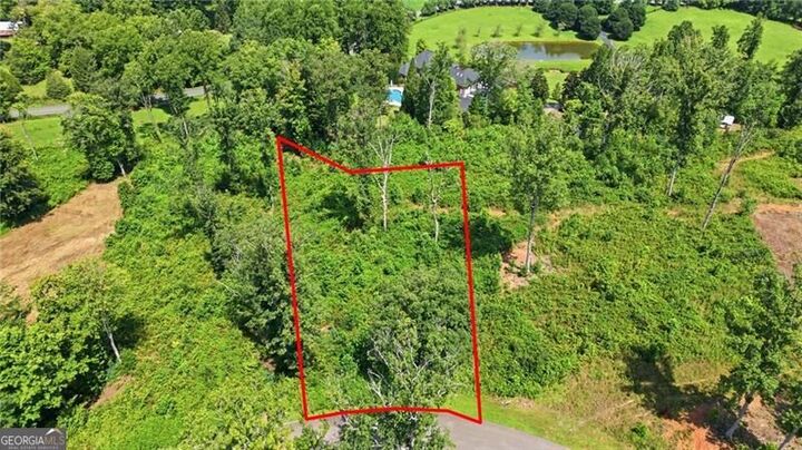 Property Photo:  17 Mystic Drive  GA 30540 