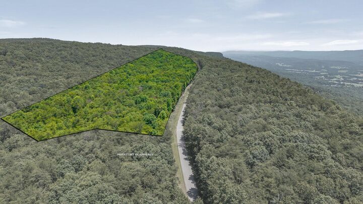 Property Photo: 18.69ac Windridge TN 37327
