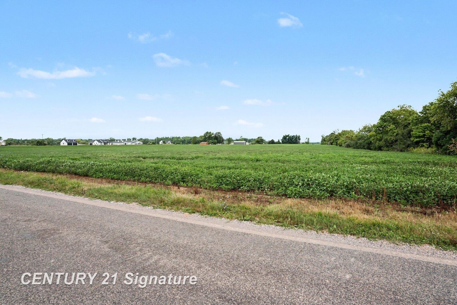 Property Photo: 9000 Carter Road MI 48623