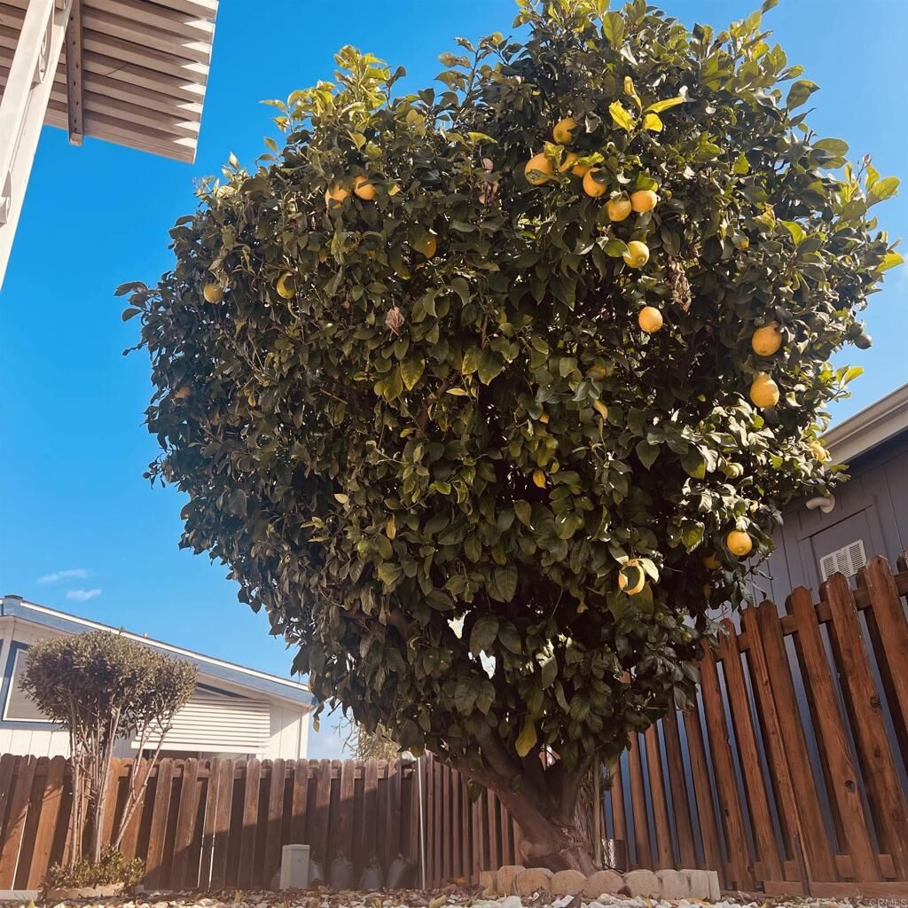 Property Photo:  27250 Murrieta Road 364  CA 92586 