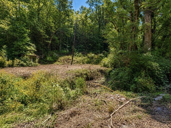 Property Photo:  465 Halls Hollow Rd  TN 37166 