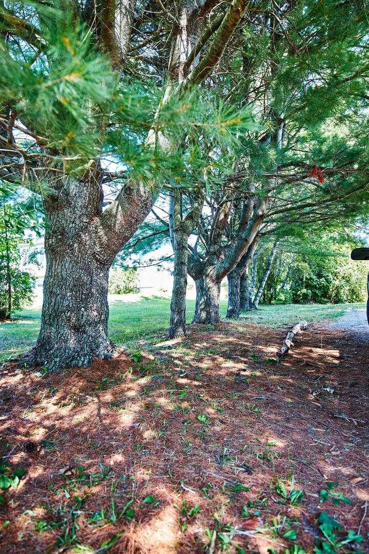 Property Photo: 1072 J Jordan Road NS B0P 1H0