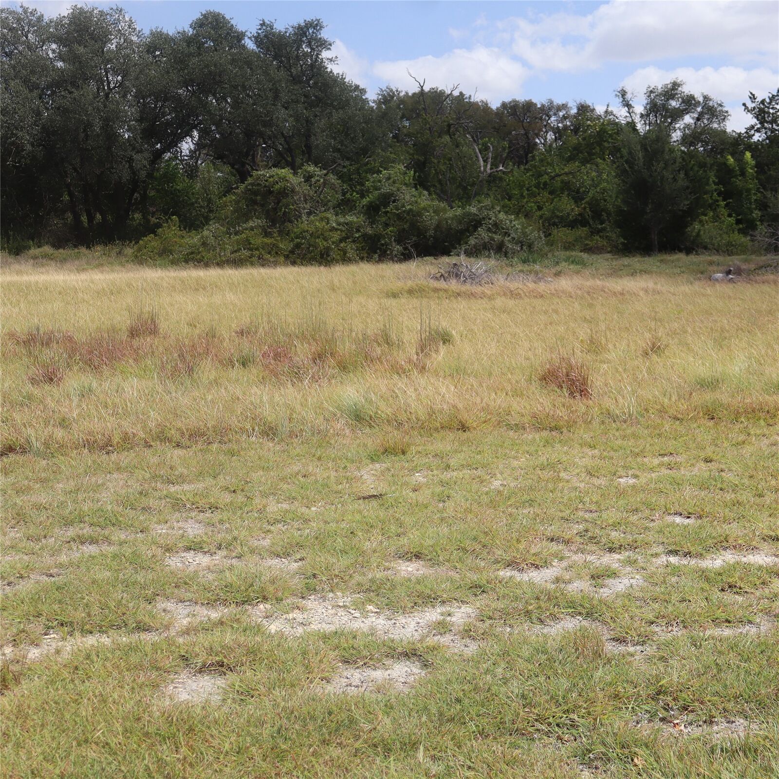 Property Photo: 701 Rawhide Lane TX 76527