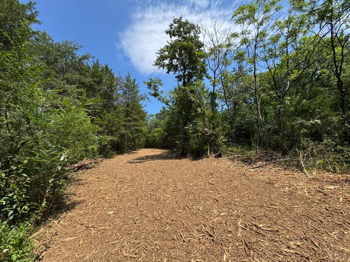 Property Photo:  0 Watt Abbitt Road  VA 24522 