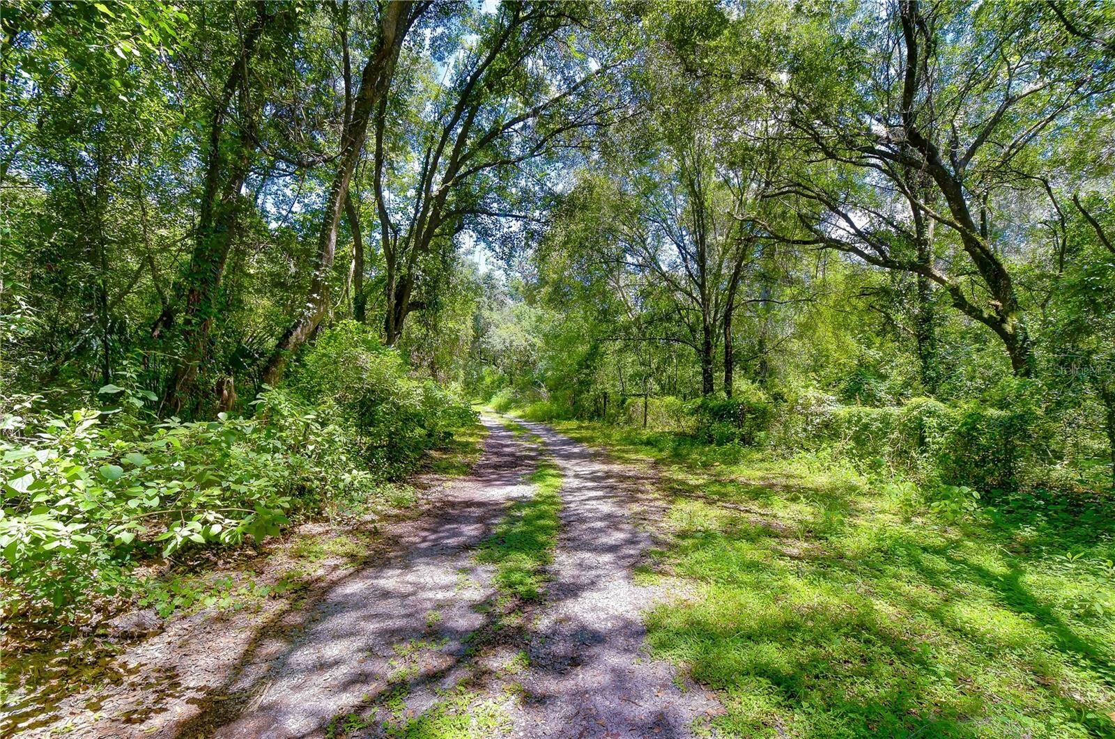 Property Photo:  3801 Pate Road  FL 33541 