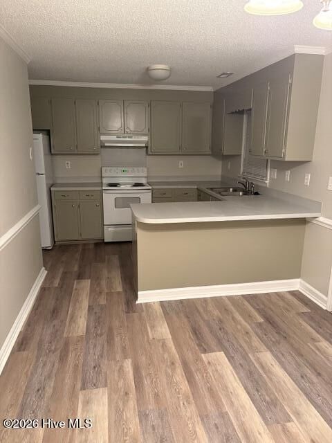 Property Photo:  1117 Grovemont Drive I-4  NC 27834 
