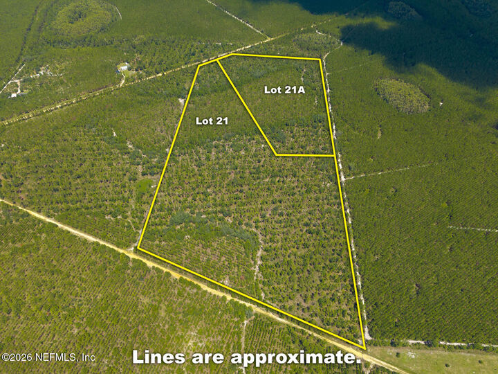 Property Photo:  Lot 21 Bellamy Road  FL 32140 