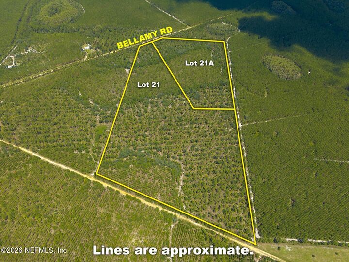 Property Photo:  Lot 21 Bellamy Road  FL 32140 