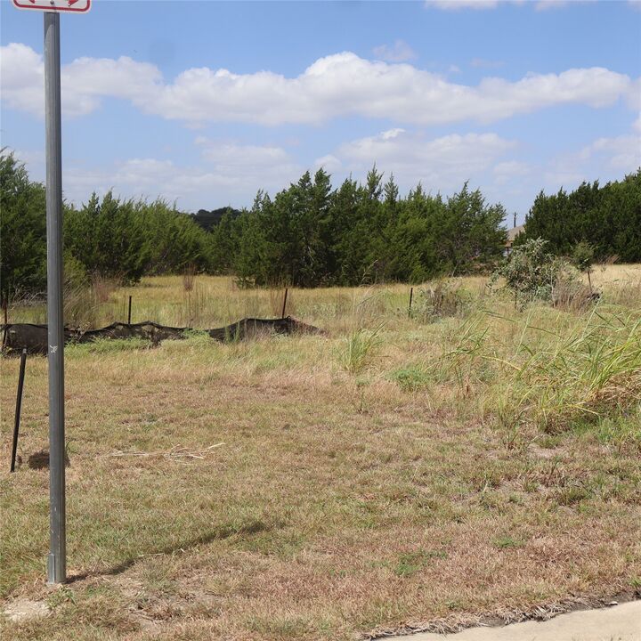 Property Photo:  105 Mesones Road  TX 76527 