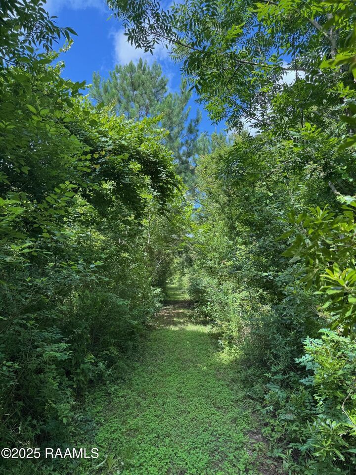 Property Photo:  Tbd Lot 3 Frozard Road 3  LA 70512 
