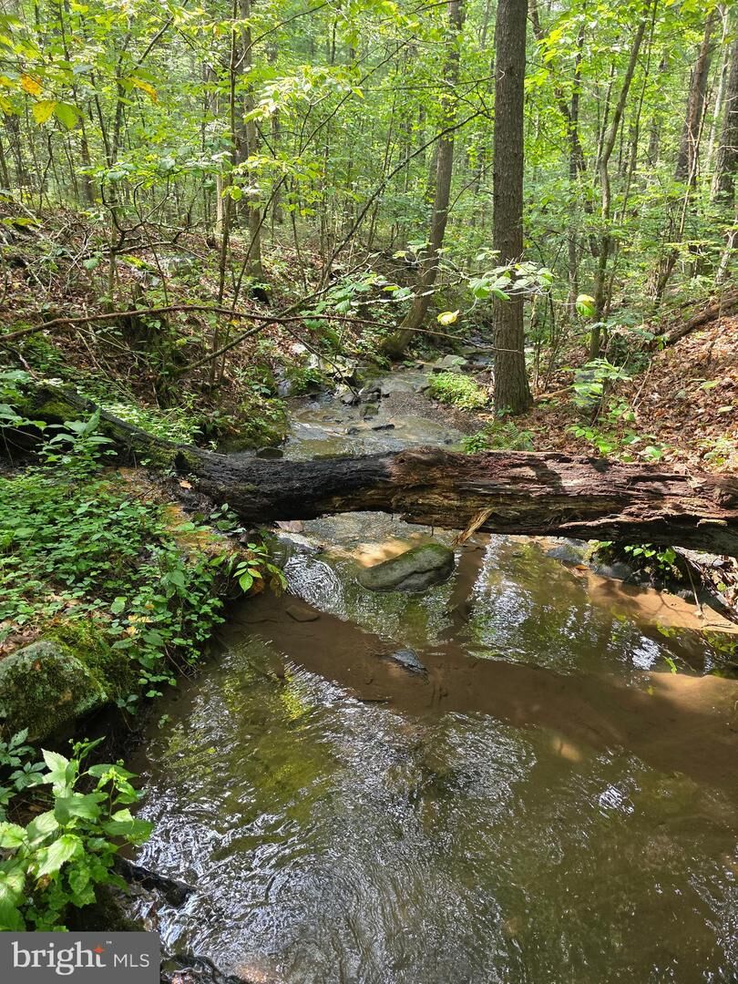 Property Photo:  574 Mountain Slope Ln.  VA 22652 