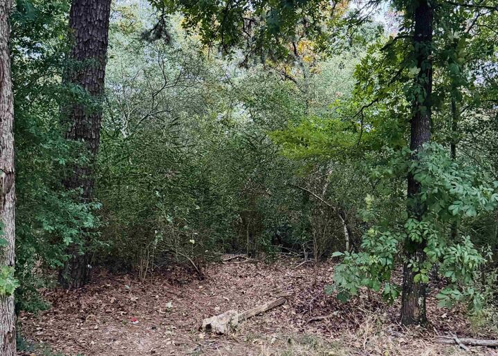 Property Photo:  Lot 23 Lee Summit Dr.  AR 72202 