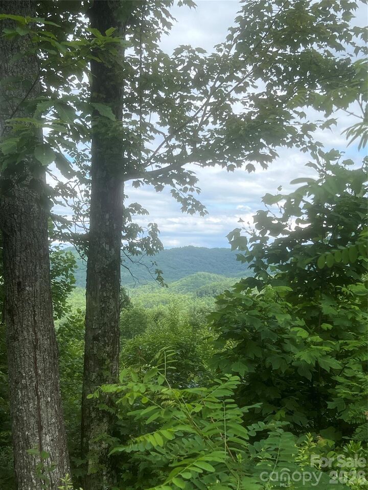 Property Photo:  71, 72, 73 High Peak Road  NC 28792 