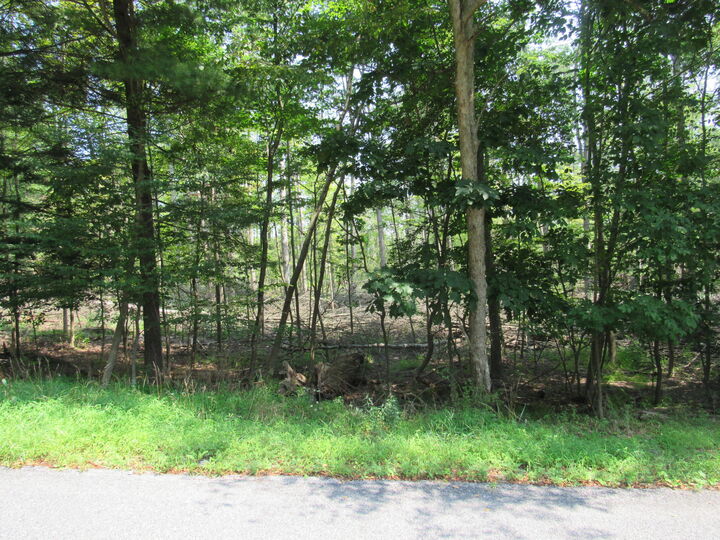 Property Photo:  Hungry Hollow /Spuck Rd Rd  PA 15801 