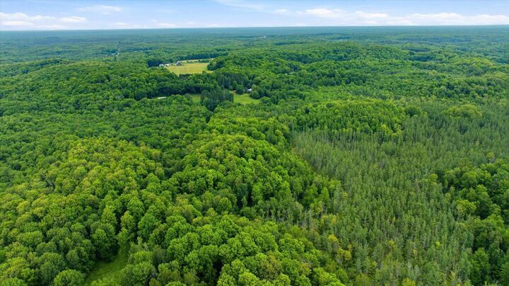 Property Photo:  Brush Creek Road  WI 54451 