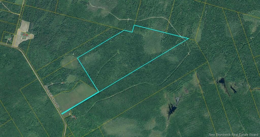 Property Photo:  Lot Des Dallaire Road  NB E4S 2P1 