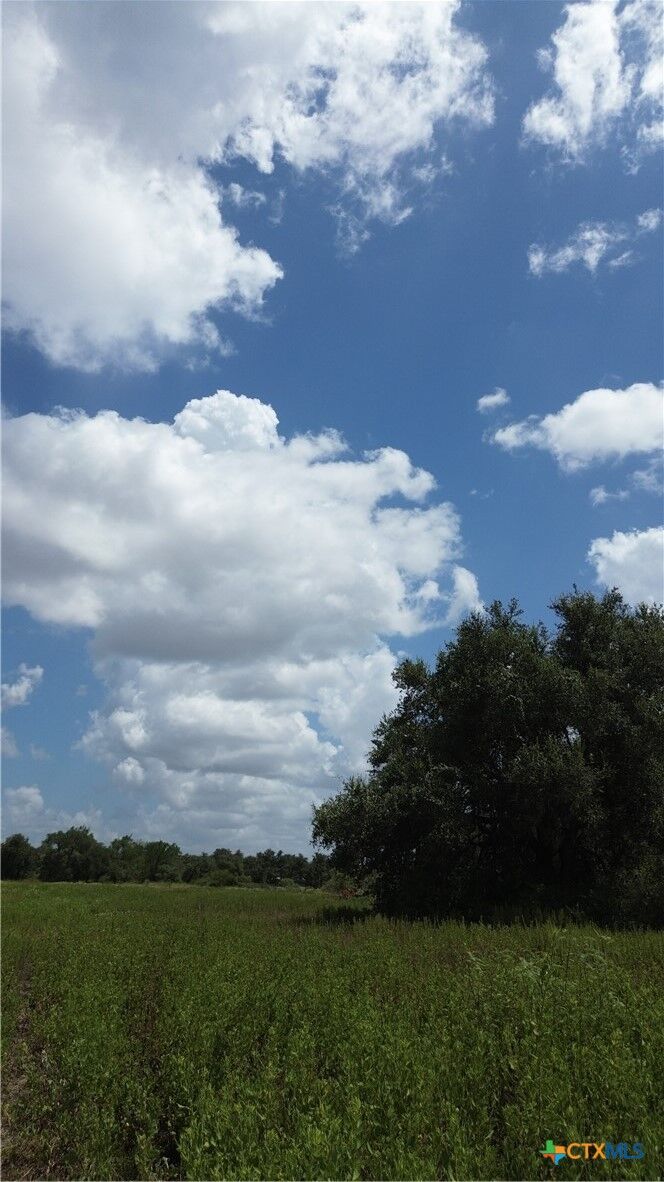 Property Photo:  635 Fm 622  TX 77905 