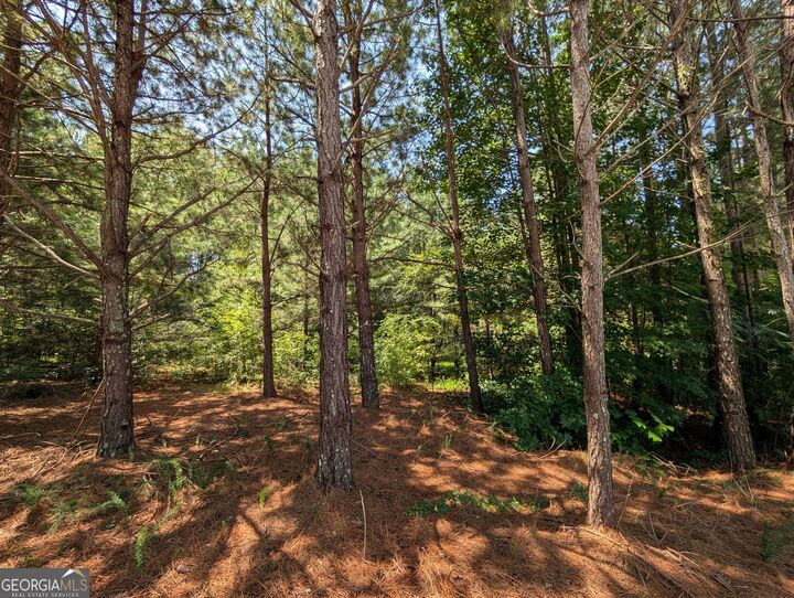 Property Photo:  0 Brookmont Parkway  GA 30135 