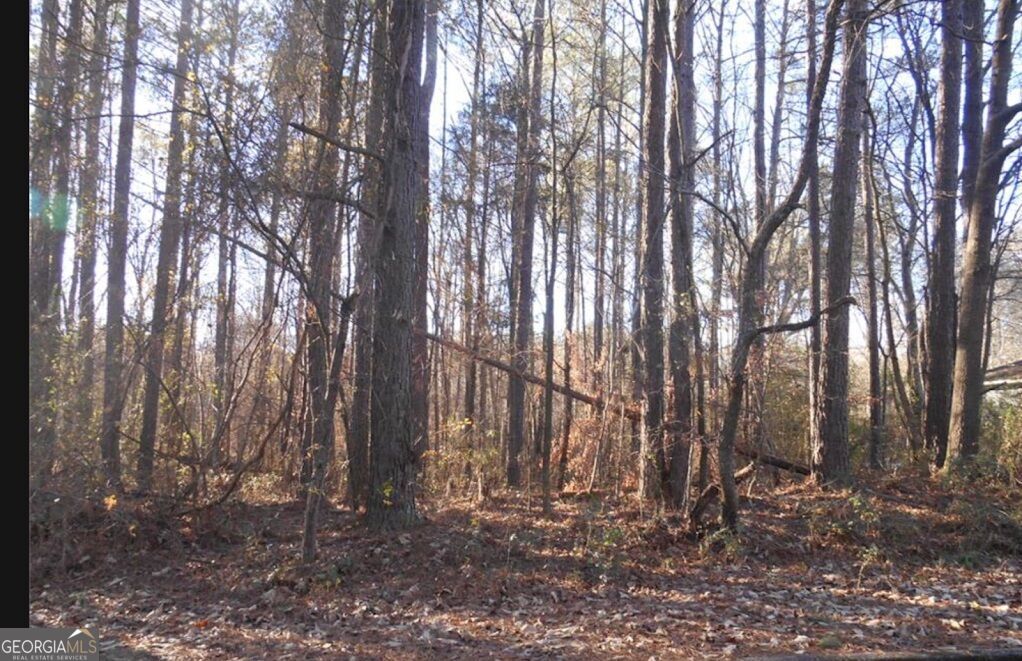 Property Photo: 0 Bartlett Circle GA 30108