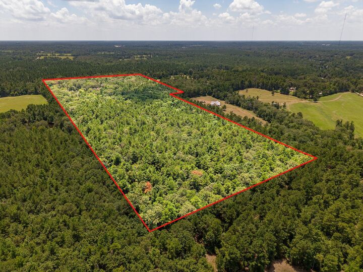 Property Photo: 1647 Whitehead TX 75901