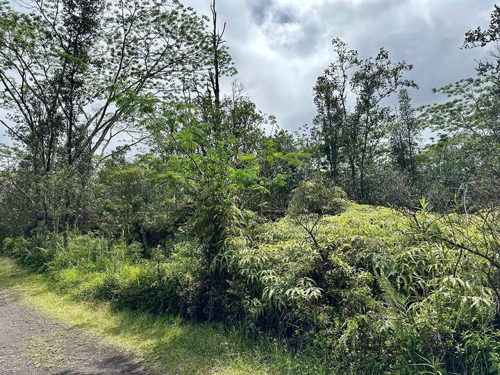 Property Photo:  Road 3 (Hopue)  HI 96771 