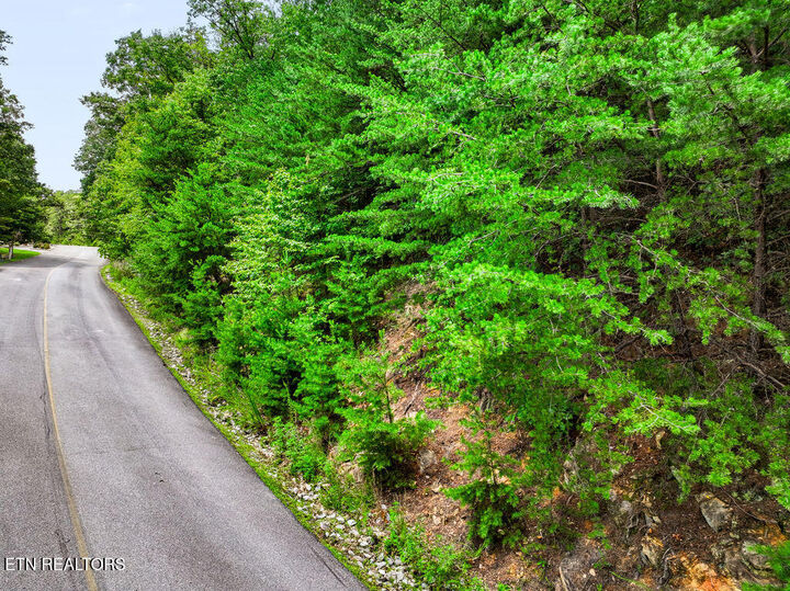 Property Photo: Lot 127E Settlers View Lane TN 37862