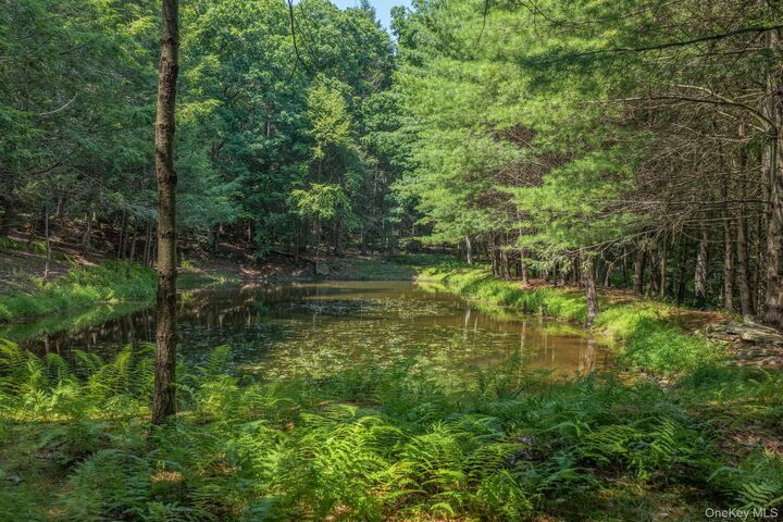 Property Photo:  Lot 55.1 Swanerbury Road  NY 12737 