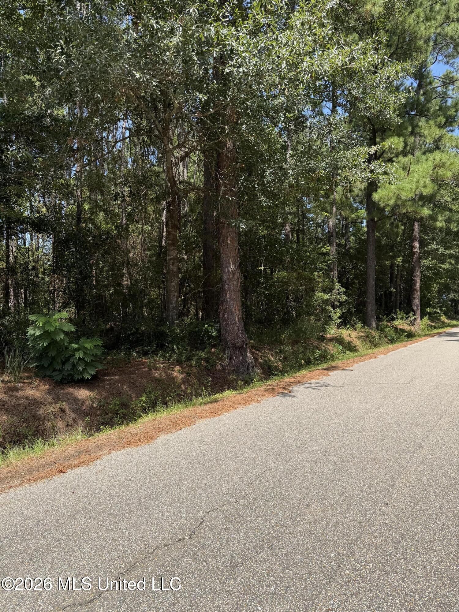 Property Photo: 0 W Ridley Street MS 39520