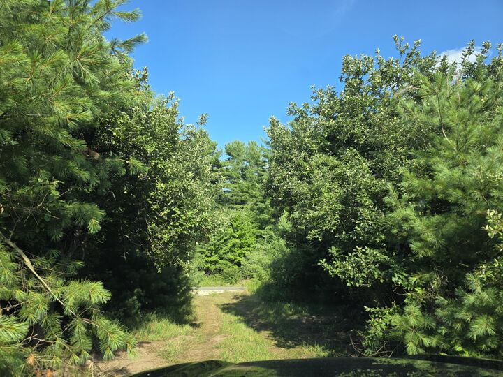 Property Photo:  14773 180th Avenue  MI 49346 
