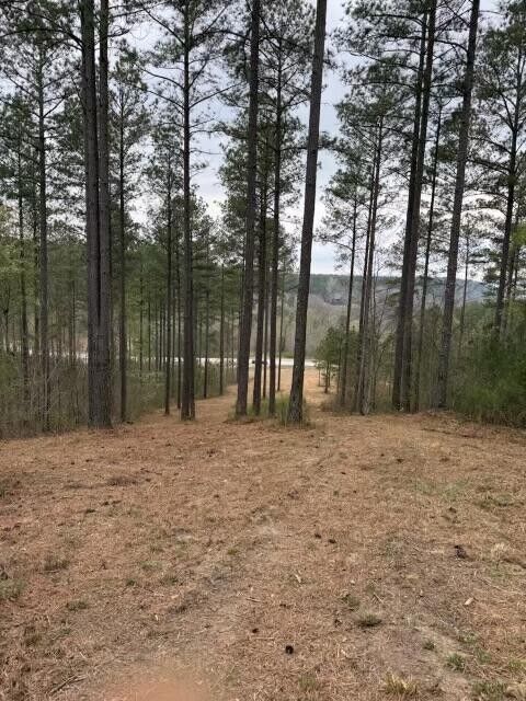 Property Photo:  0 Birds Eye Way  TN 37340 