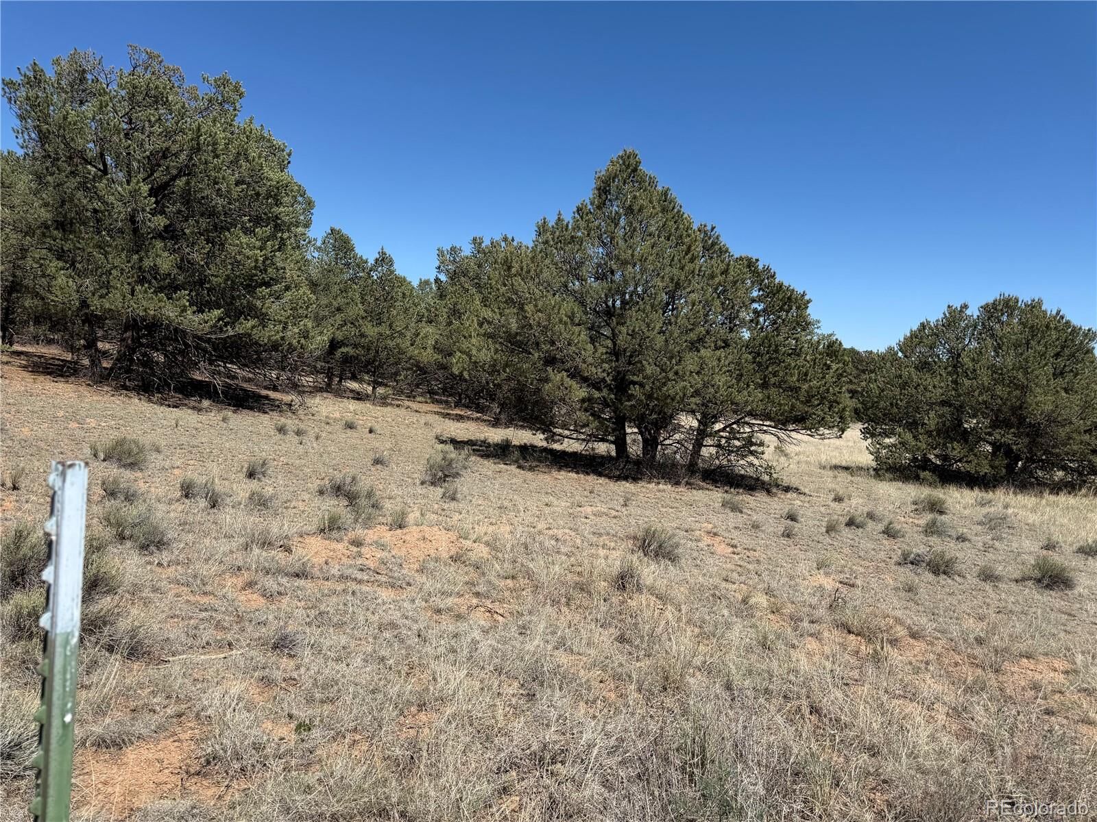 Property Photo: 520 W View Road CO 81223