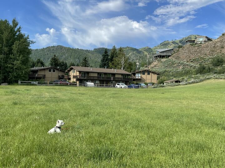 Property Photo:  204 Sun Valley Rd 27  ID 83353 