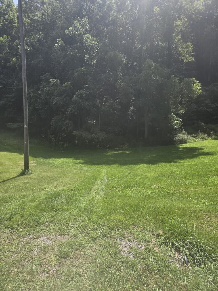Property Photo:  Tbd Broadway Rd  VA 24382 
