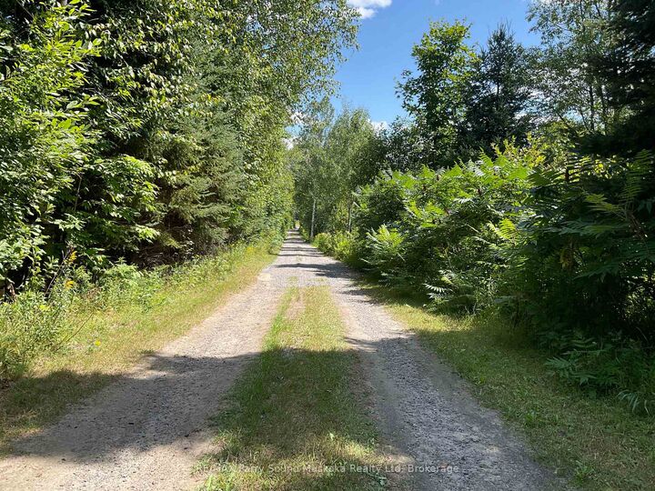 Property Photo:  590 Clear Lake Road  ON P0H 1A0 