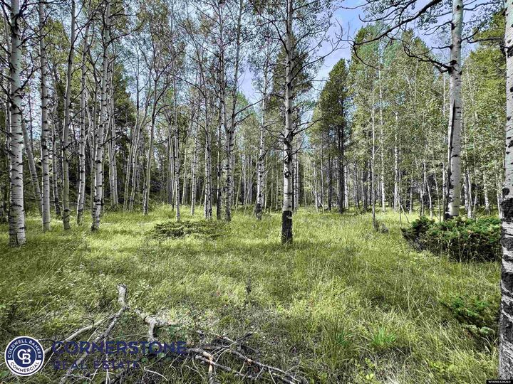 Property Photo: Lot 620 Starwallow #6 Road WY 82601