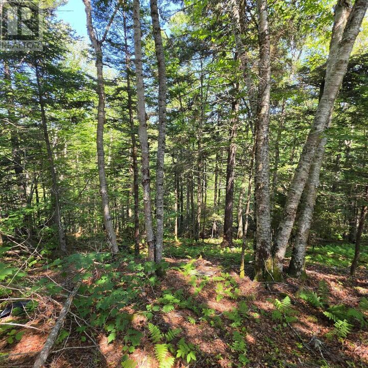 Property Photo: 72 North Greville Road NS B0M 1S0