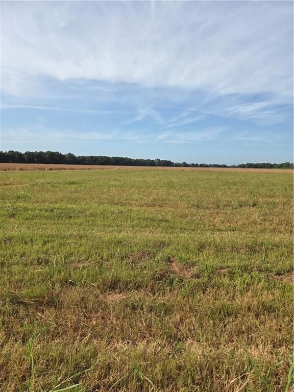 Property Photo:  Tbd Highway 494 Highway  LA 71456 