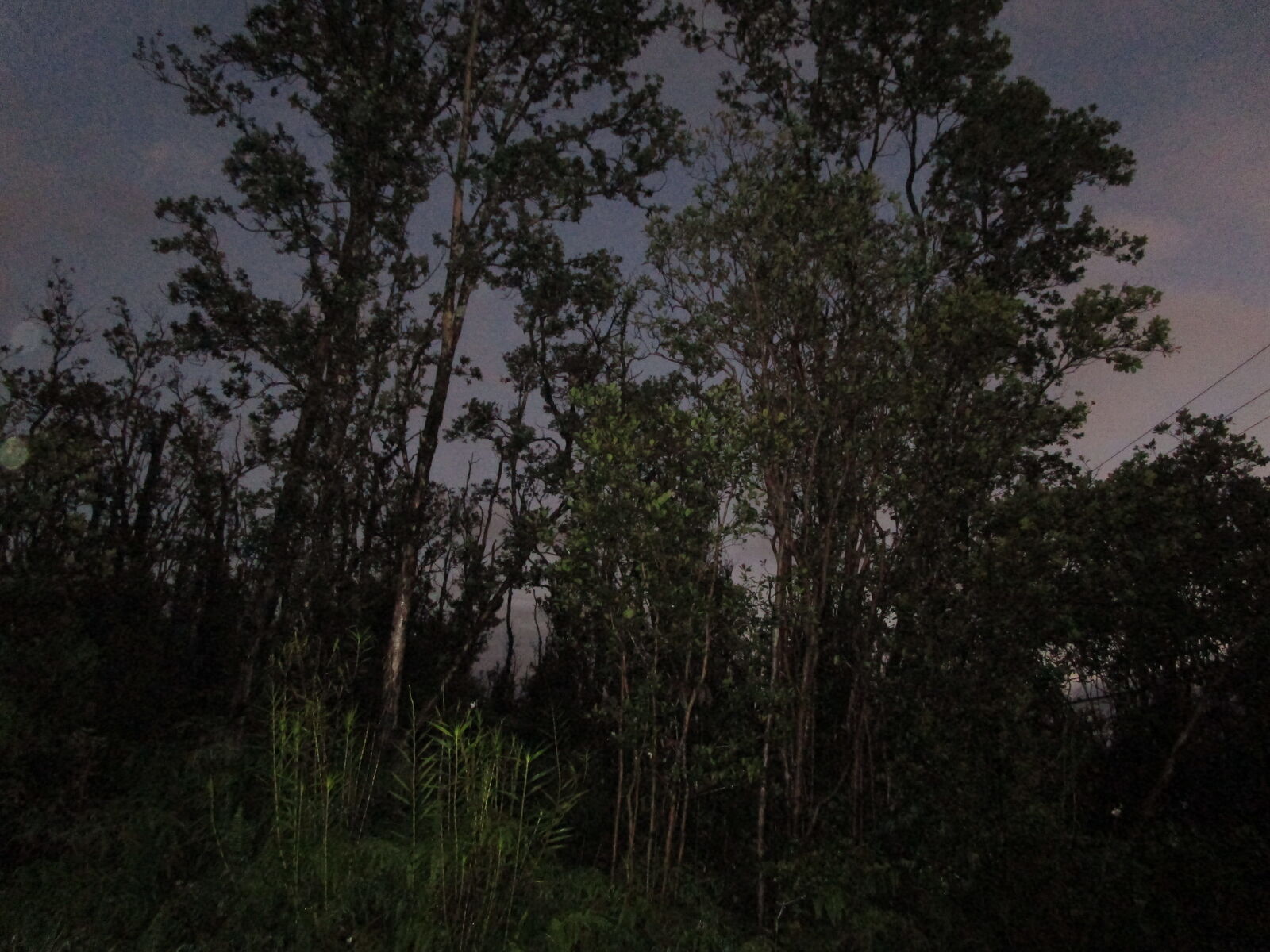 Property Photo: Noe Kuahiwi Rd HI 96785