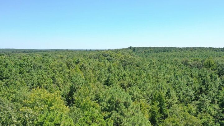 Property Photo:  0000 Farm To Market 161  TX 75656 