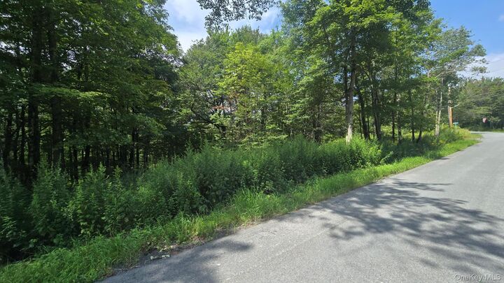 Property Photo:  Knickerbocker Road  NY 12758 