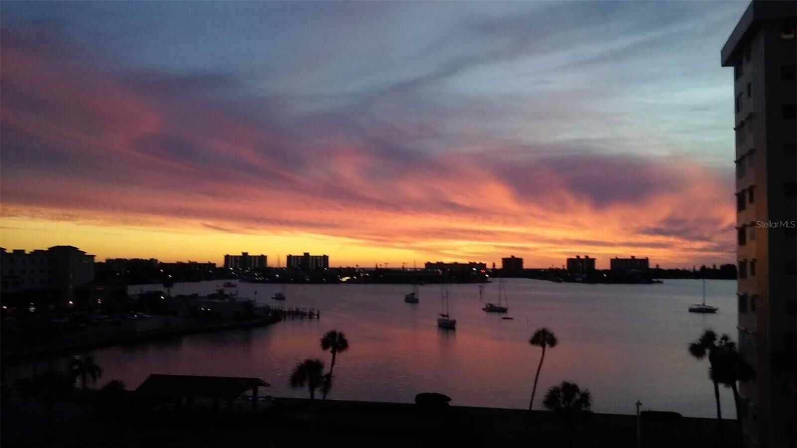 Property Photo:  4550 Cove Circle 505  FL 33708 